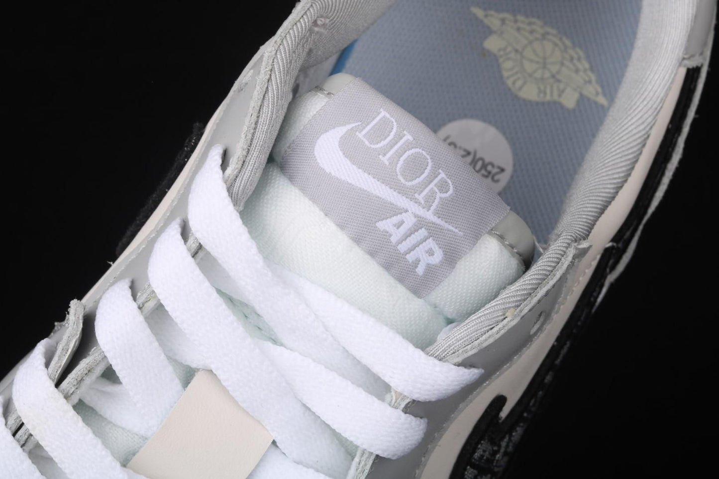 Air Jordan 1 Retro Low Dior
