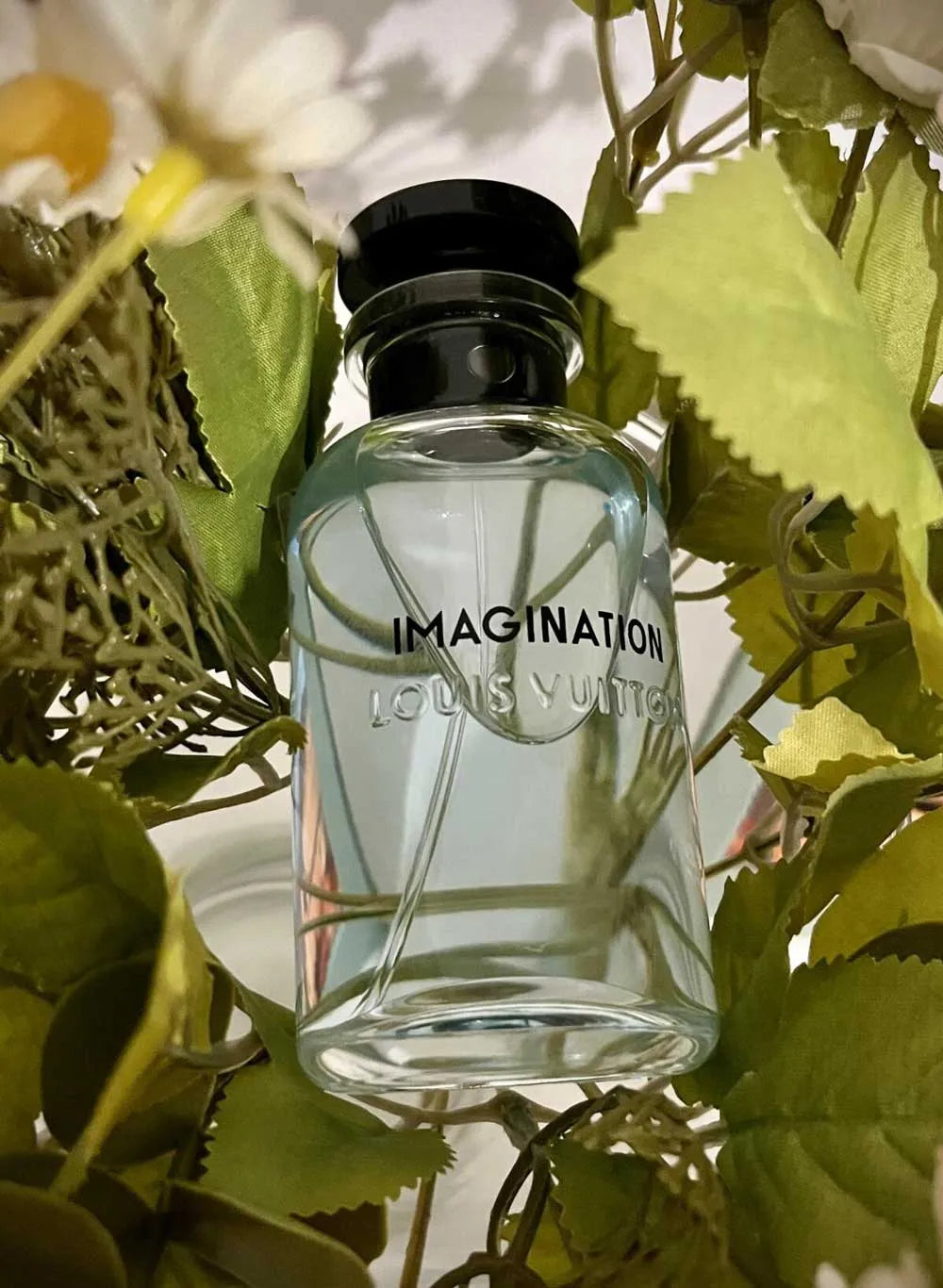 Louis-Vuttion Imagination